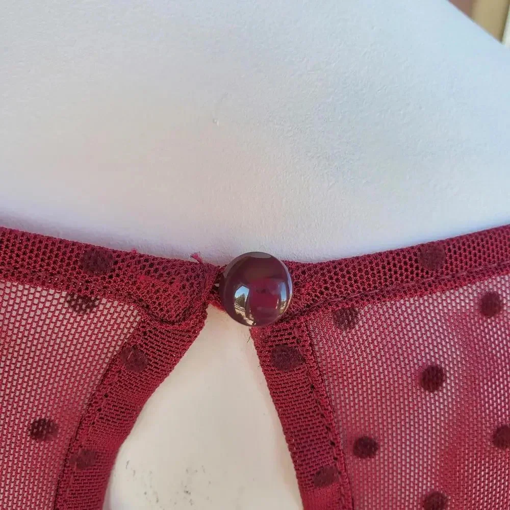 Pleione Sheer Short Sleeve Swiss Dot Blouse - Red - Women's Size Small NWOT